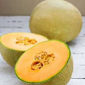 Infinite Gold, (F1) Melon Seeds